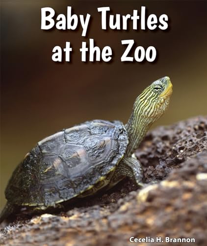 Imagen de archivo de Baby Turtles at the Zoo a la venta por Better World Books