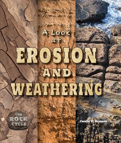 Imagen de archivo de A Look at Erosion and Weathering a la venta por ThriftBooks-Dallas