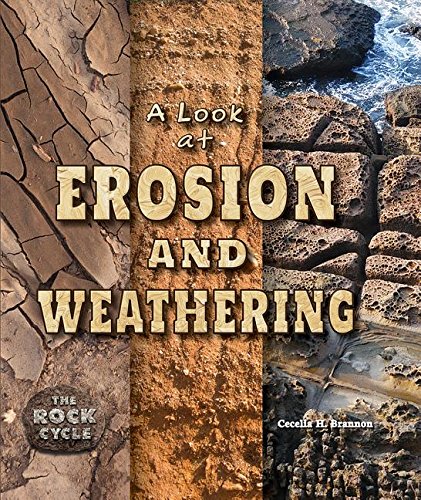 Beispielbild fr A Look at Erosion and Weathering zum Verkauf von Better World Books