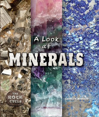 Beispielbild fr A Look at Minerals zum Verkauf von Better World Books