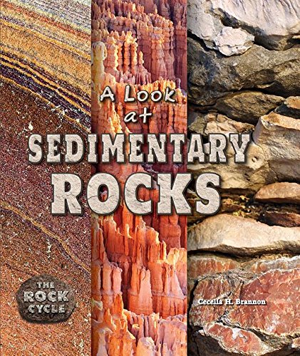 Imagen de archivo de A Look at Sedimentary Rocks a la venta por Better World Books