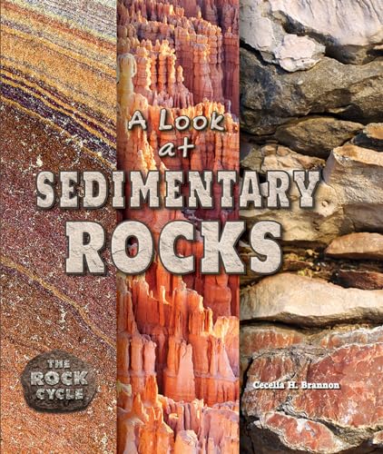 Beispielbild fr A Look at Sedimentary Rocks zum Verkauf von Better World Books