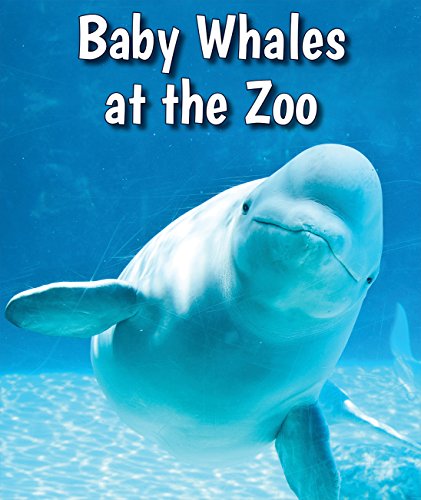 Imagen de archivo de Baby Whales at the Zoo (All About Baby Zoo Animals) a la venta por mountain