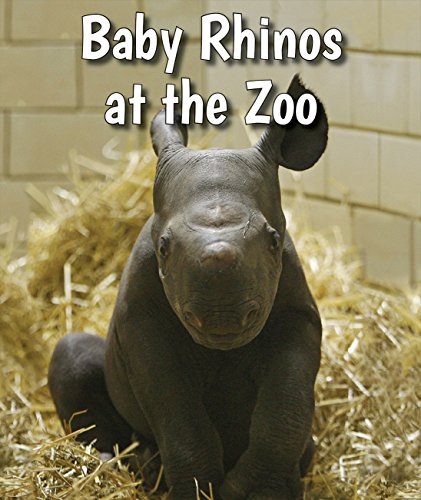 Imagen de archivo de Baby Rhinos at the Zoo (All About Baby Zoo Animals) a la venta por BookOutlet