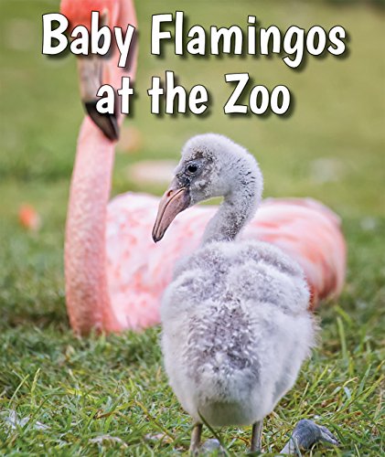 Imagen de archivo de Baby Flamingos at the Zoo a la venta por Revaluation Books