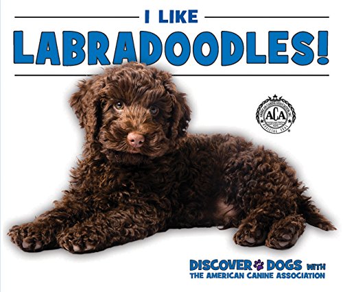 Beispielbild fr I Like Labradoodles! zum Verkauf von Better World Books