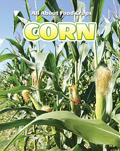 Imagen de archivo de Corn (All About Food Crops) a la venta por GF Books, Inc.