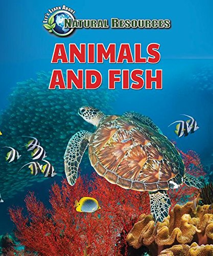 Stock image for Animals and Fish for sale by Better World Books