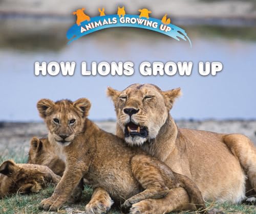 9780766096516: How Lions Grow Up (Animals Growing Up)