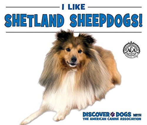 Beispielbild fr I Like Shetland Sheepdogs! (Discover Dogs with the American Canine Association) zum Verkauf von WorldofBooks