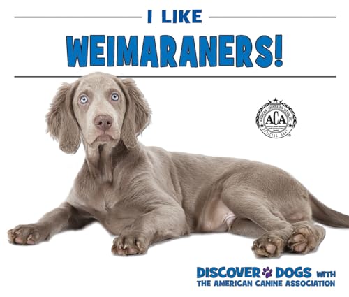 Imagen de archivo de I Like Weimaraners! (Discover Dogs with the American Canine Association) a la venta por WorldofBooks