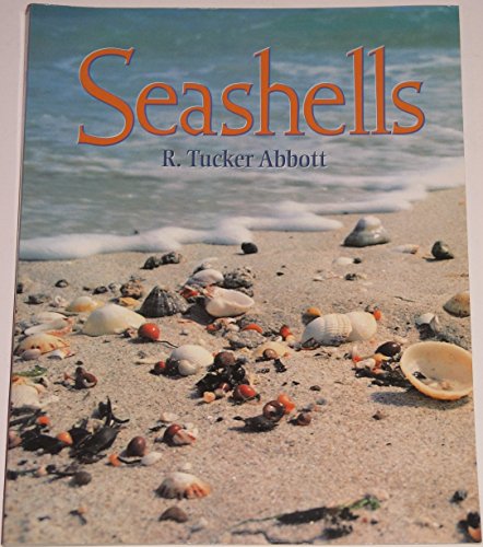 Stock image for Seashells for sale by HPB-Emerald