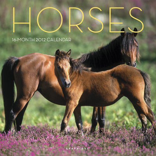 Beispielbild fr 2012 Horses Wall Calendar zum Verkauf von Ergodebooks