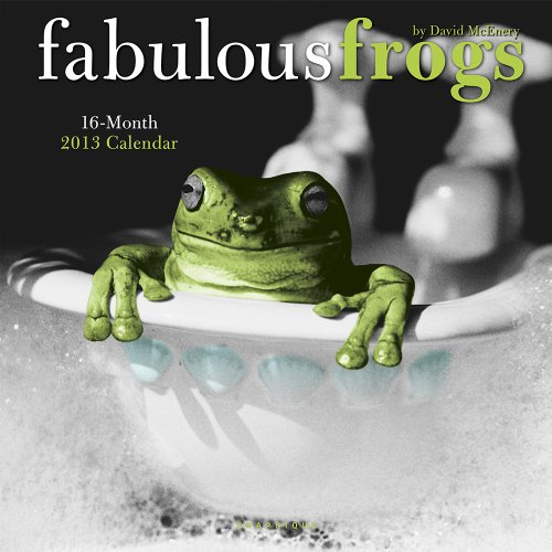 Beispielbild fr Fabulous Frogs Calendar 2013 zum Verkauf von medimops