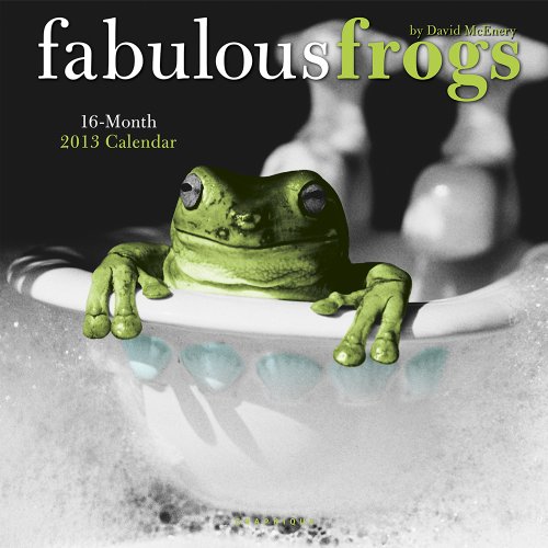 Stock image for Fabulous Frogs Calendar 2013 for sale by medimops