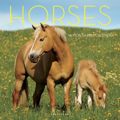 9780767191142: Horses 2013 Calendar