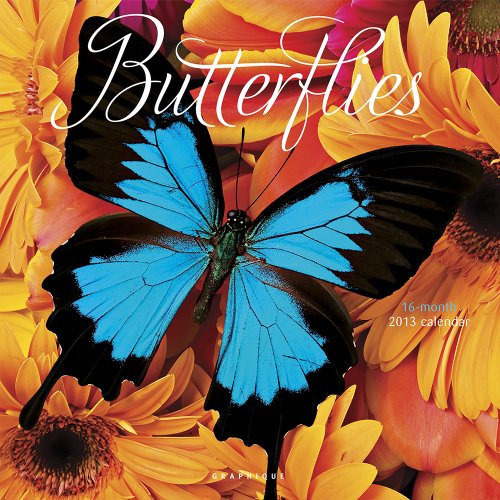 Beispielbild fr Butterflies 2013 Calendar zum Verkauf von medimops