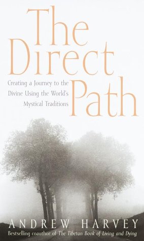 Imagen de archivo de The Direct Path: Creating a Journey to the Divine Using the World's Mystical Traditions a la venta por Front Cover Books