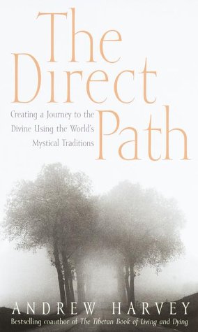 Stock image for The Direct Path : Creating a Journey to the Divine Using the World's Mystical Traditions for sale by Better World Books