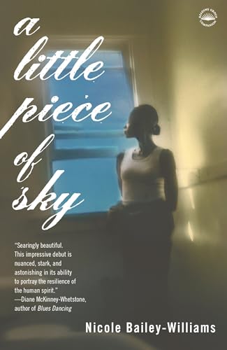 Stock image for A Little Piece of Sky: A Novel for sale by ZBK Books