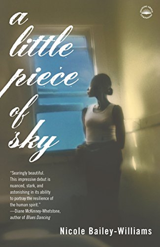 9780767912167: A Little Piece of Sky: A Novel