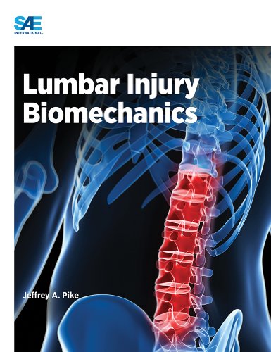Stock image for Lumbar Injury Biomechanics for sale by PBShop.store US