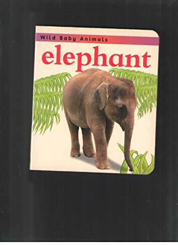 Stock image for Elephant for sale by ThriftBooks-Atlanta