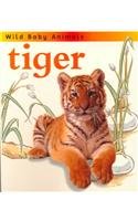 Stock image for Tiger (Wild Baby Animals) for sale by Wonder Book
