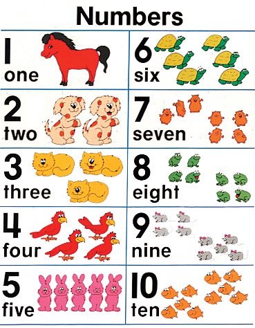 9780768212310: Numbers 1-10 (Cheap Charts)