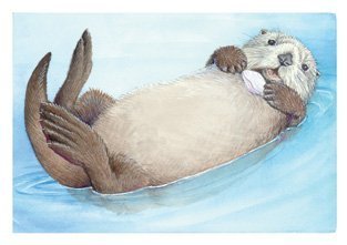 Sea Otter Notepad (9780768215946) by Carson-Dellosa Publishing