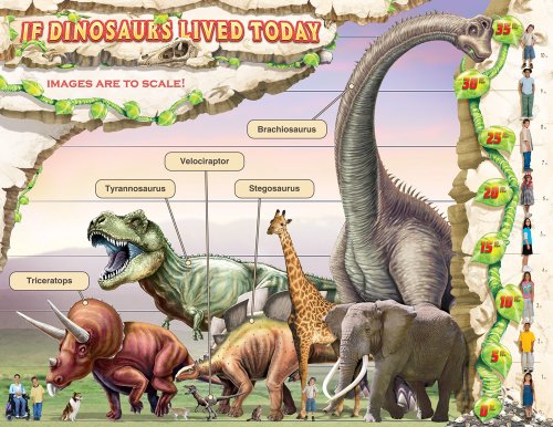 If Dinosaurs Lived Today (Cheap Charts) (9780768239836) by [???]