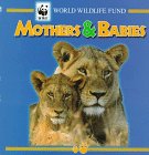 Stock image for Mothers and Babies for sale by Better World Books