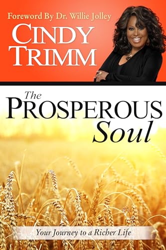 Stock image for The Prosperous Soul: Your Journey to a Richer Life for sale by Dream Books Co.