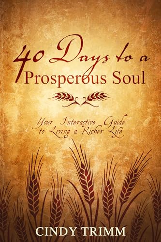 Imagen de archivo de 40 Days to a Prosperous Soul: Your Interactive Guide to Living a Richer Life a la venta por SecondSale