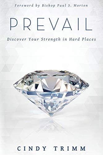 Stock image for Prevail: Discover Your Strength in Hard Places for sale by KuleliBooks