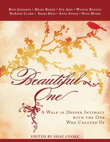 Beispielbild fr Beautiful One: A Walk in Deeper Intimacy With the One Who Created Us zum Verkauf von Revaluation Books