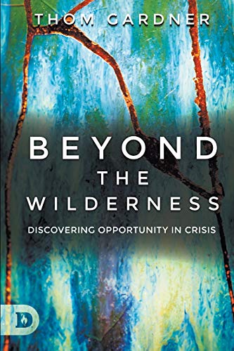 Stock image for Beyond the Wilderness: Discovering Opportunity In Crisis for sale by Russell Books
