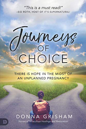 Imagen de archivo de Journeys of Choice: There is Hope in the Midst of an Unplanned Pregnancy a la venta por SecondSale