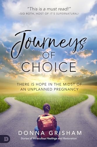 Stock image for Journeys of Choice: There is Hope in the Midst of an Unplanned Pregnancy for sale by SecondSale