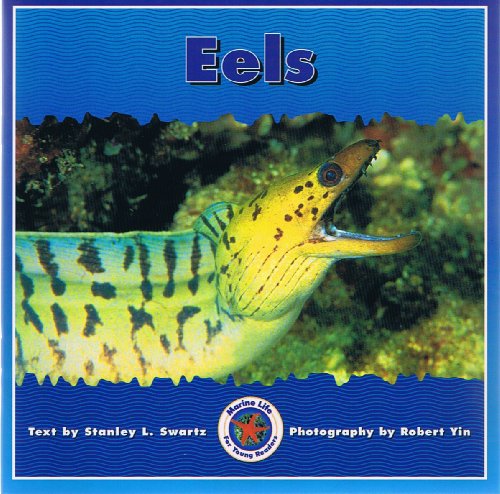 9780768504781: Eels (Dominie Marine Life Young Readers)