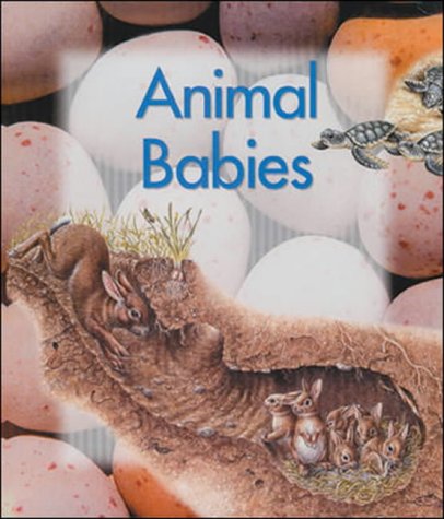 Animal Babies (9780769912592) by Weldon Owen