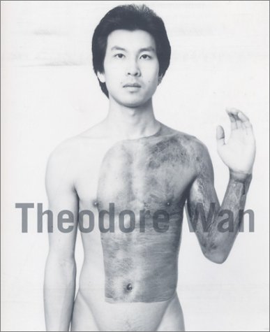 Theodore Wan [exhibition: Jan. 16-Feb. 29, 2004]