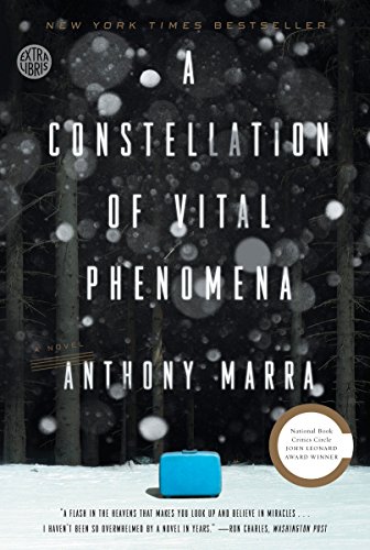 Beispielbild fr A Constellation of Vital Phenomena: A Novel zum Verkauf von Dream Books Co.