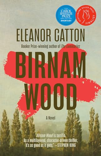 Stock image for Birnam Wood for sale by Russell Books