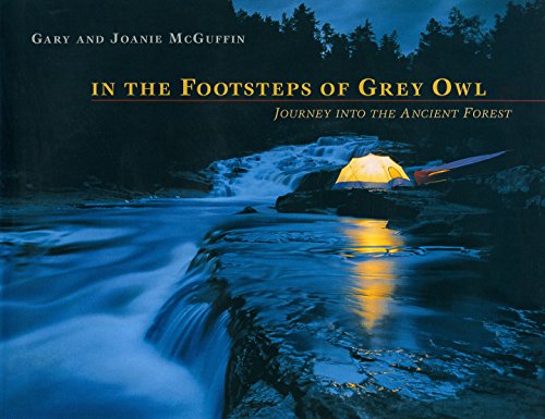 Stock image for In the Footsteps of Grey Owl : Journey into the Ancient Forest for sale by Better World Books