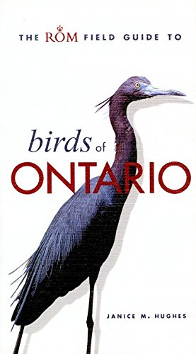 Stock image for The ROM Field Guide to Birds of Ontario for sale by Ergodebooks
