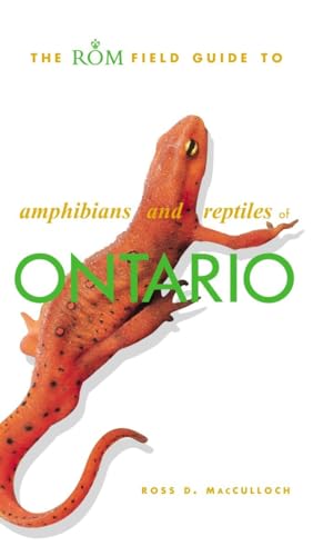 Beispielbild fr The ROM Field Guide to Amphibians and Reptiles of Ontario zum Verkauf von Bay Used Books