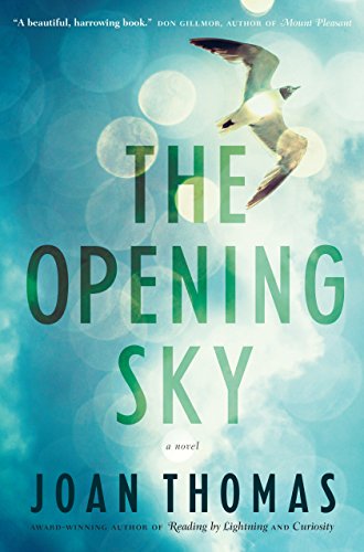 Stock image for The Opening Sky for sale by SecondSale