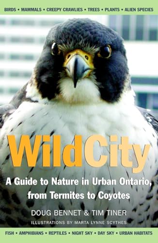 9780771085697: Wild City: A Guide to Nature in Urban Ontario, from Termites to Coyotes
