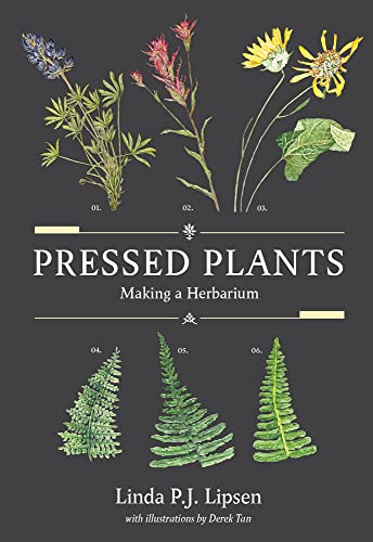 Stock image for Pressed Plants: Making a Herbarium for sale by Monster Bookshop